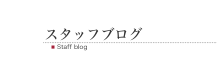 スタッフブログ