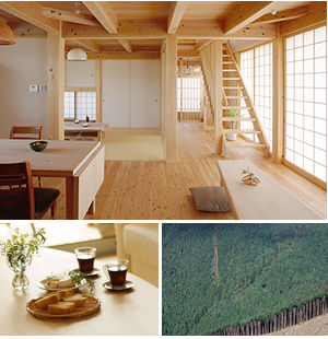 森を建てるという考え方、紀州木の家KINO